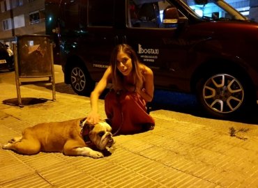 nuestros clientes dogtaxi